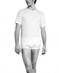 Zimmerli Herren Sea Island - Shirt kurze �rmel