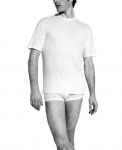 Zimmerli Herren Sea Island - T-Shirt