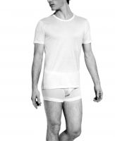 Zimmerli Royal Classic - Shirt SS